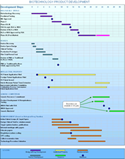 Washington University Biotechnology Law Gantt Chart